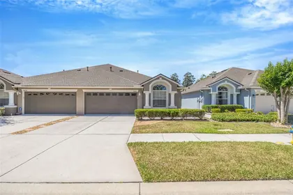 WESLEY CHAPEL FL Home