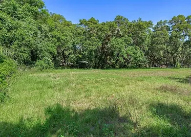ZEPHYRHILLS FL Property
