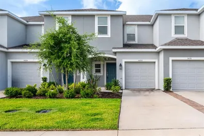 WESLEY CHAPEL FL Home