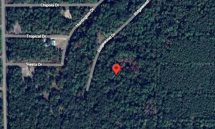 GEORGETOWN FL Property