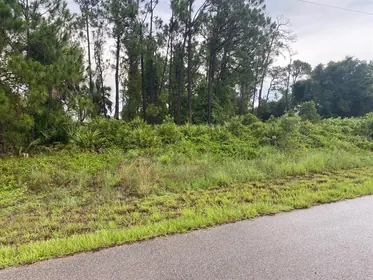 NORTH PORT FL Property