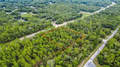 CITRUS SPRINGS FL Property