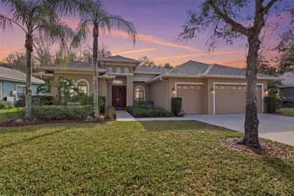 ODESSA FL Home