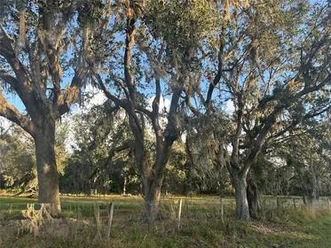 WAUCHULA FL Property