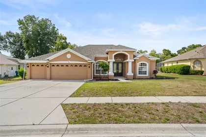 SPRING HILL FL Home