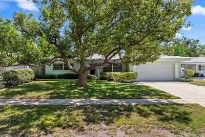 CLEARWATER FL Home
