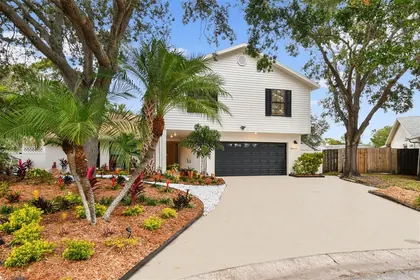 TAMPA FL Home