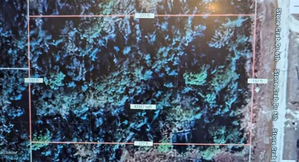 PERRY FL Property