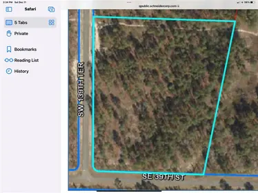 MORRISTON FL Property