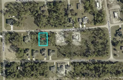 LEHIGH ACRES FL Property