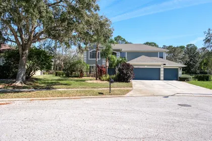 PALM HARBOR FL Home