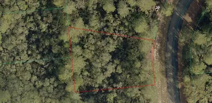 OCALA FL Property