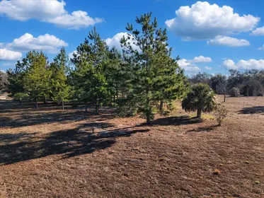 CHIEFLAND FL Property