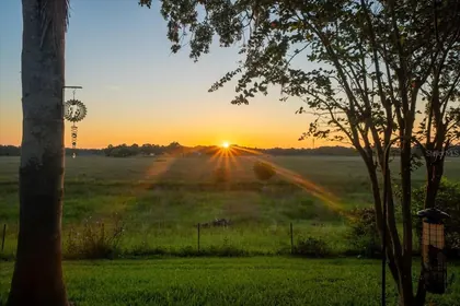 SPRING HILL FL Home