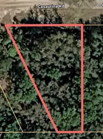LADY LAKE FL Property