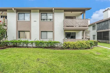 SAFETY HARBOR FL Home