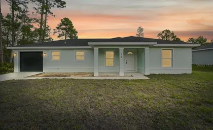 OCKLAWAHA FL Home