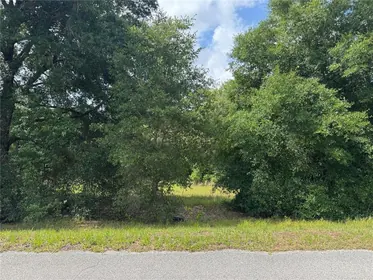ALTOONA FL Property
