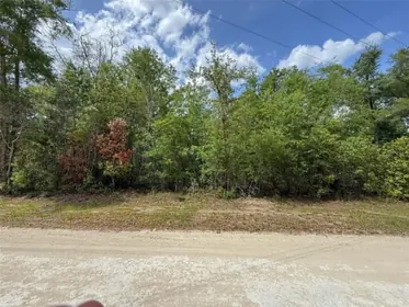 BRANFORD FL Property