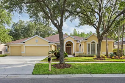 LUTZ FL Home
