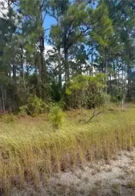 LAKE PLACID FL Property