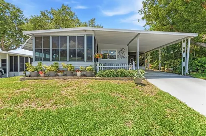 SAFETY HARBOR FL Home