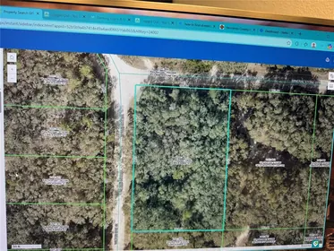 WEBSTER FL Property