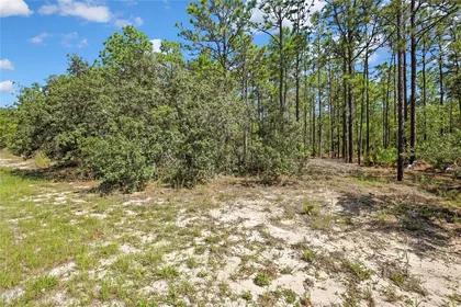 BEVERLY HILLS FL Property