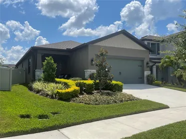 WESLEY CHAPEL FL Home