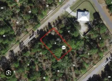 CITRUS SPRINGS FL Property