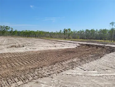 NEW SMYRNA BEACH FL Property