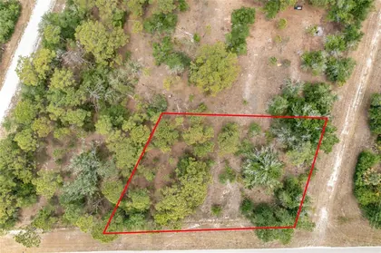 PUNTA GORDA FL Property