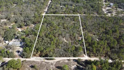 HOMOSASSA FL Property