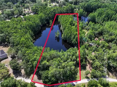 LAND O LAKES FL Property