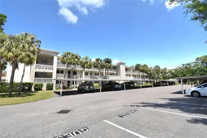 DUNEDIN FL Home
