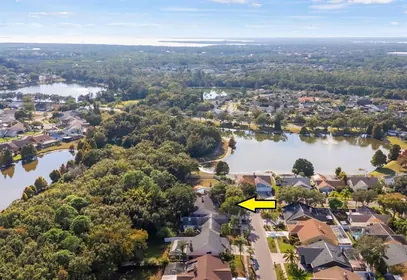 TAMPA FL Home