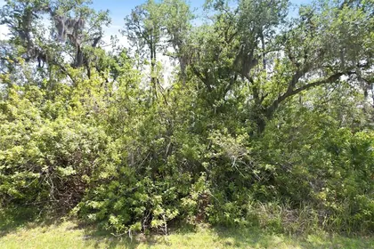 PORT CHARLOTTE FL Property