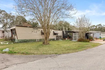 MOUNT DORA FL Home