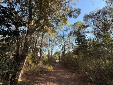 BRONSON FL Property
