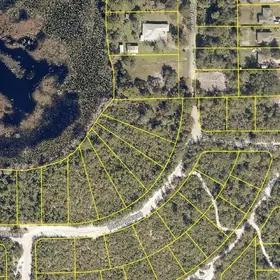 DELAND FL Property