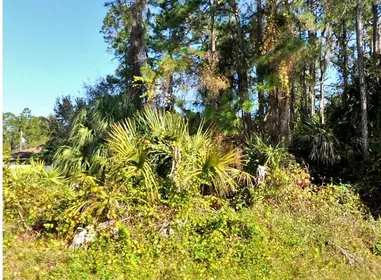 NORTH PORT FL Property