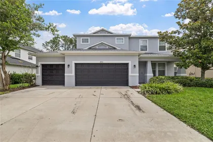 WESLEY CHAPEL FL Home