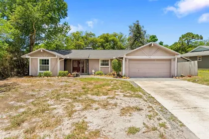 WEEKI WACHEE FL Home