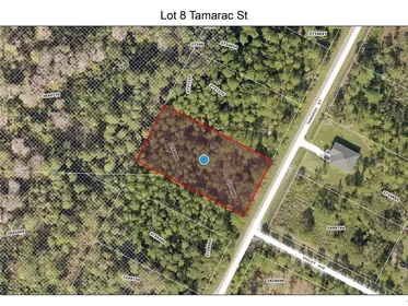 EUSTIS FL Property