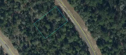 CHIPLEY FL Property