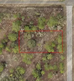 DUNNELLON FL Property