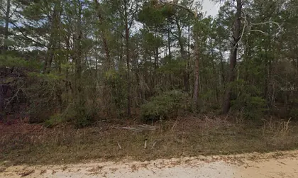 INTERLACHEN FL Property