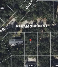 LADY LAKE FL Property
