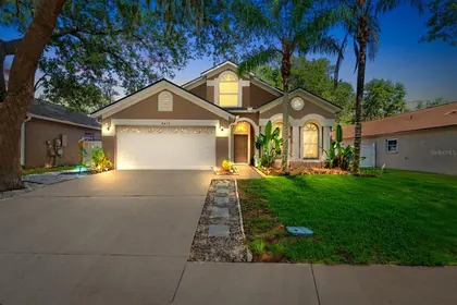 VALRICO FL Home