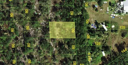 PUNTA GORDA FL Property